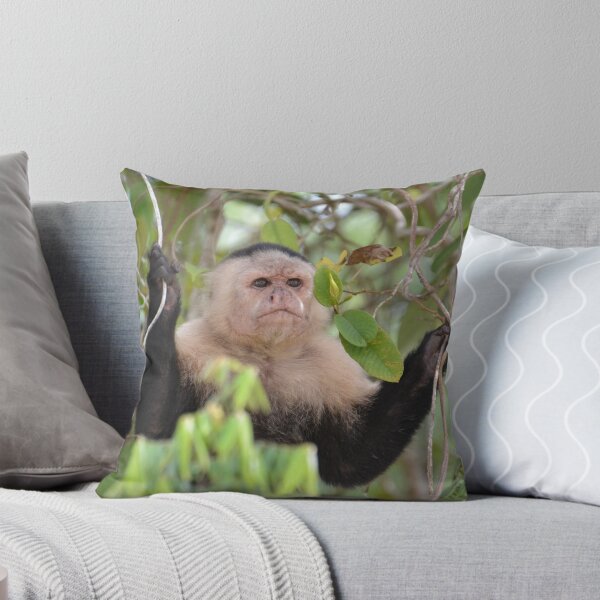Item preview, Peek-A-Boo designed and sold by Sauropod8.
