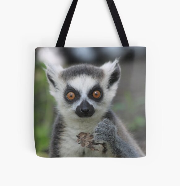 Lemur bags 2025