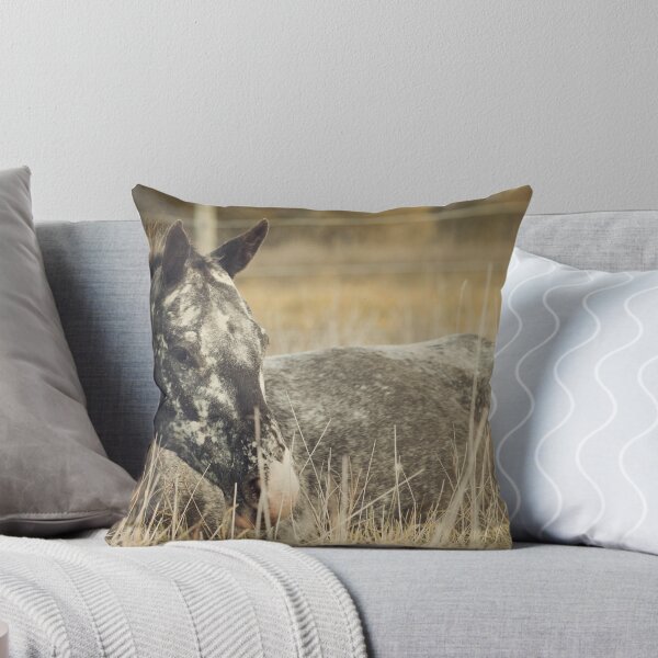 Item preview, Appaloosa Horse Resting designed and sold by jamieleigh.