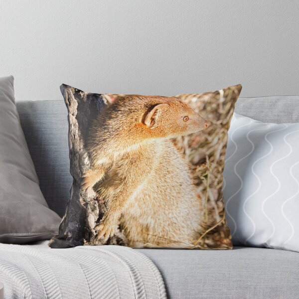 Item preview, Slender Mongoose  designed and sold by Michael Moss Photography.