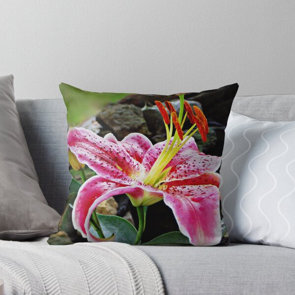 Item preview, "Stargazer" designed and sold by Gail Jones.