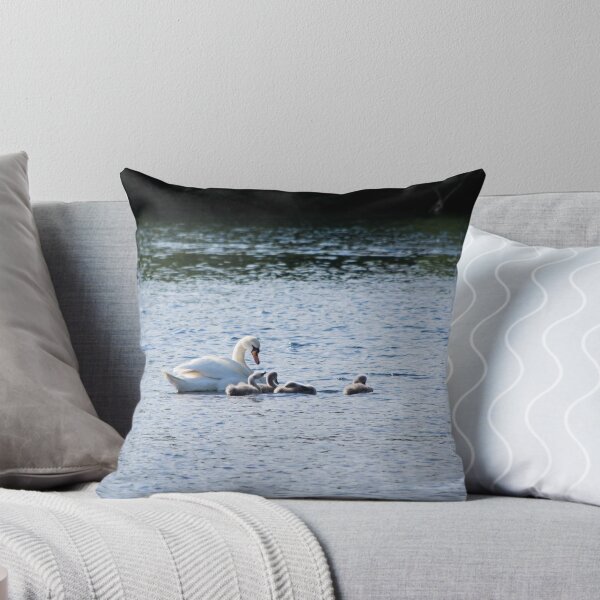 Item preview, Signets with mother designed and sold by Ralph Goldsmith.