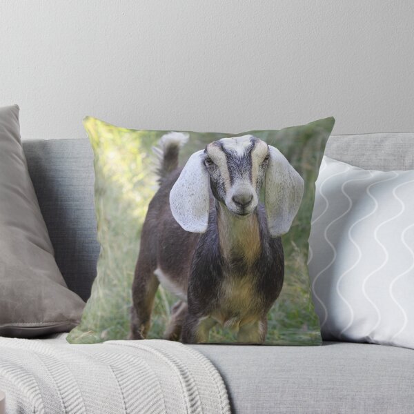 Item preview, Nubian Boer Cross - Muffin designed and sold by KansasA.