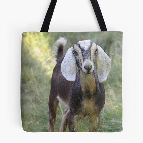 Item preview, Nubian Boer Cross - Muffin designed and sold by KansasA.
