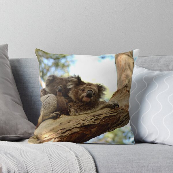 Artikelvorschau, Koala Mother & Baby entworfen und verkauft von Emily Freeman Photography.