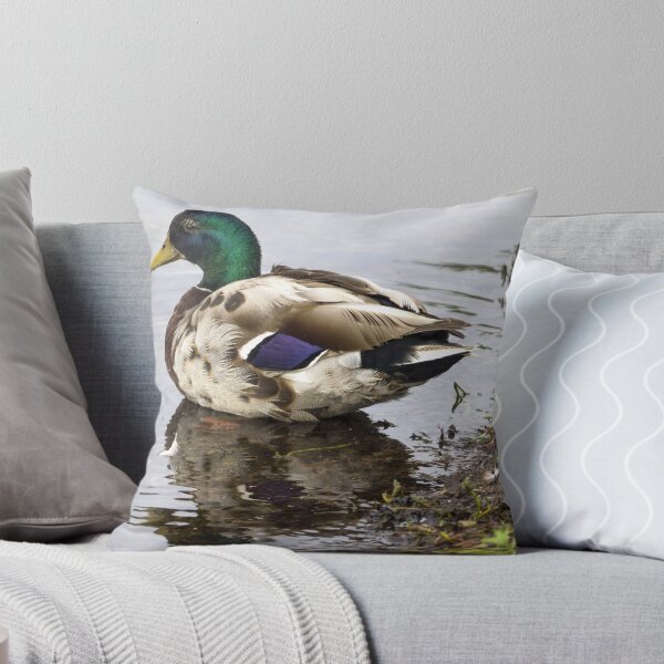 Item preview, Sitting Pretty designed and sold by Mikell Herrick.