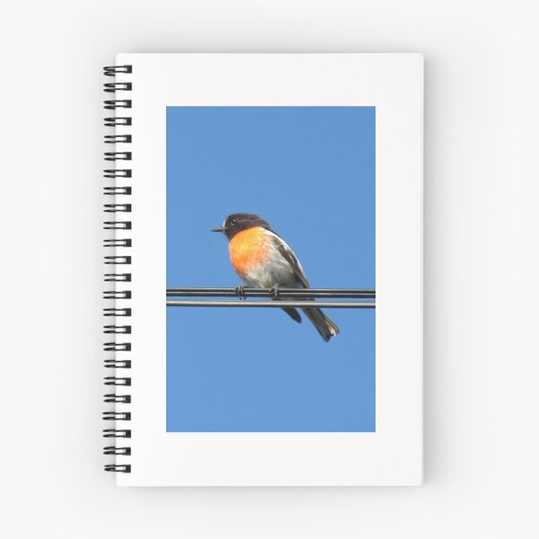 Item preview, Red Robin designed and sold by Derwent-01.