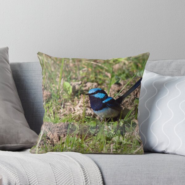 Artikelvorschau, Superb Blue Feathers entworfen und verkauft von John Sharp.