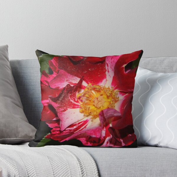 Item preview, Dark Rose designed and sold by WildestArt.