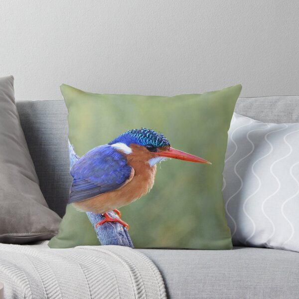 Item preview, Full Colour........... designed and sold by Macky.