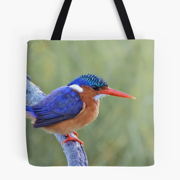 Item preview, Full Colour........... designed and sold by Macky.