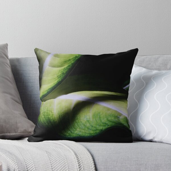 Item preview, Captivating Curves ! designed and sold by Doug Norkum.