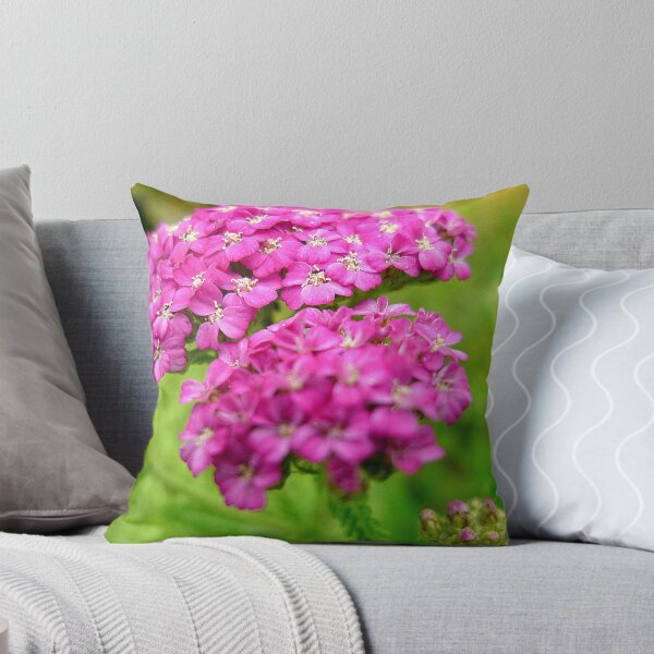 Item preview, Achillea  designed and sold by Antoinette B.