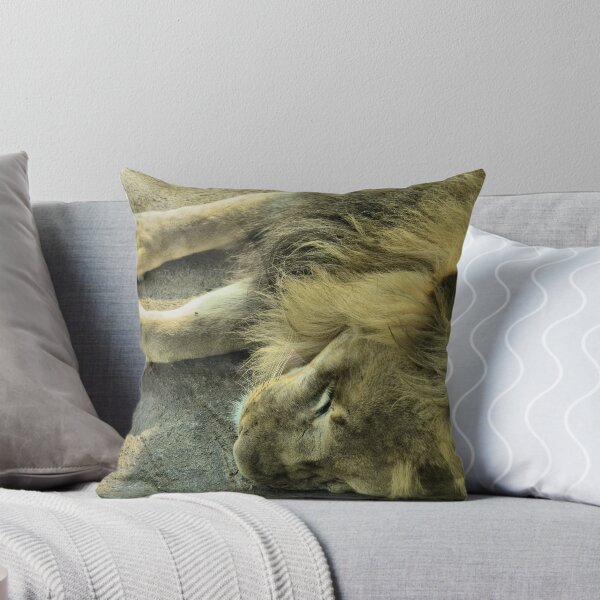 Item preview, Catnap designed and sold by Deborah Downes.
