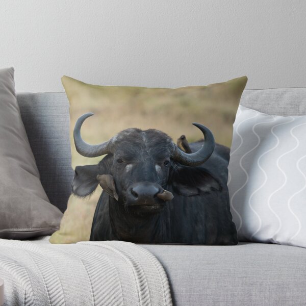 African Buffalo being cleaned by oxpeckers Throw Pillow