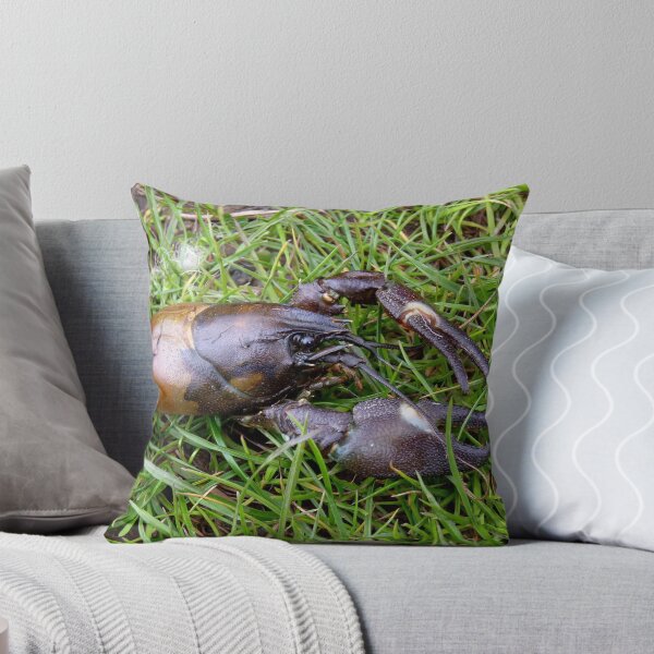 Item preview, Half a Crayfish designed and sold by Kat Simmons.