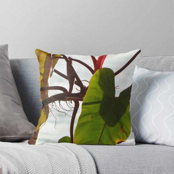 Item preview, plant - planta designed and sold by Bernhard Matejka.