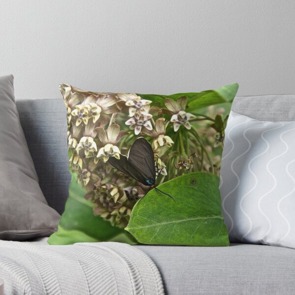 Item preview, Milk Weed designed and sold by Carolyn Clark.