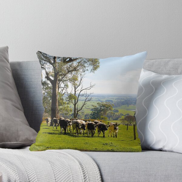 Item preview, Milking Time, Heath Hill, Gippsland, Victoria, Australia. designed and sold by johnrf.