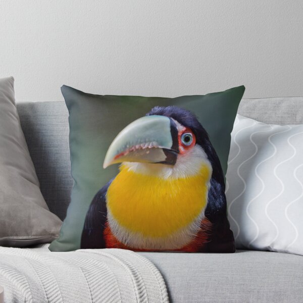 Artikelvorschau, Red Breasted Toucan entworfen und verkauft von Roger McNally.