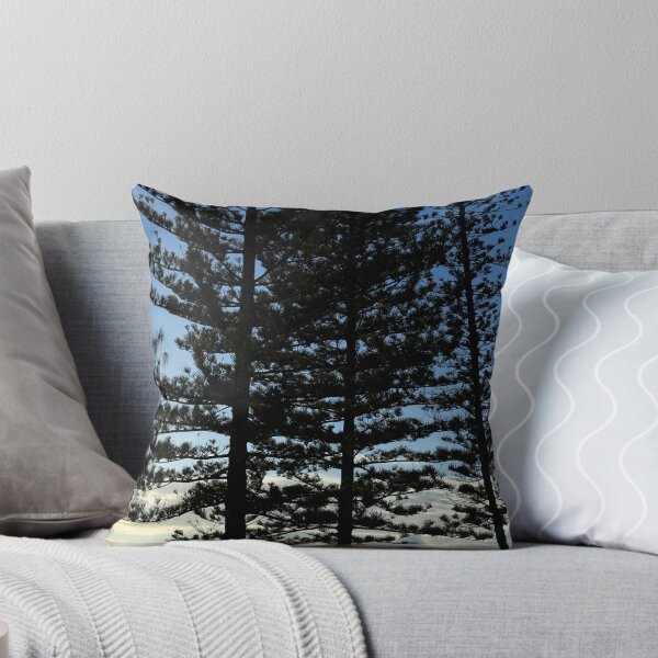 Aperçu de l'œuvre First Light - Burleigh Headland créée et vendue par Noel Elliot.