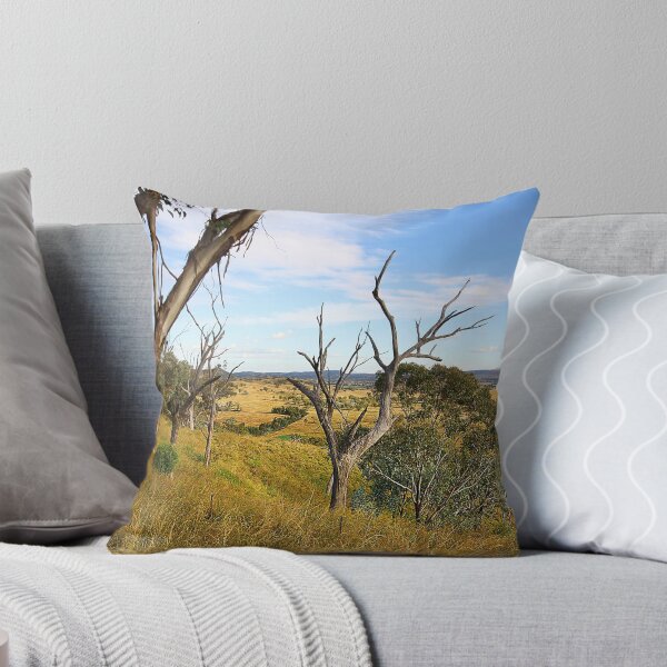 Artikelvorschau, Barraba Surrounds entworfen und verkauft von Paul Earl.