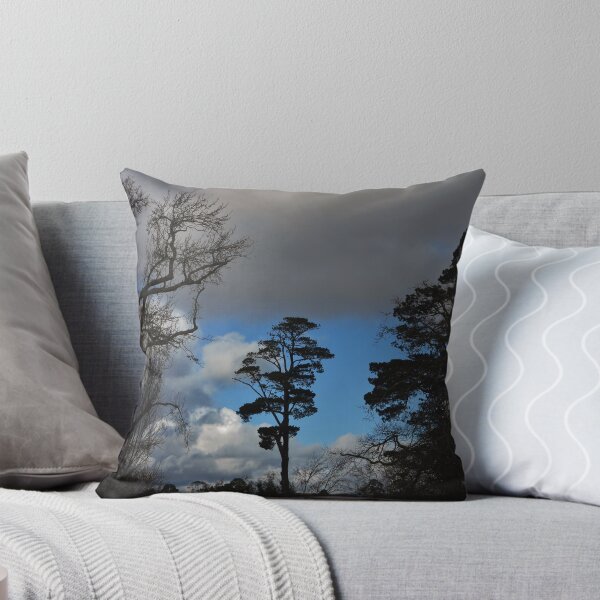 Item preview, Character is like a tree and reputation like a shadow. The shadow is what we think of it; the tree is the real thing. designed and sold by Digby.
