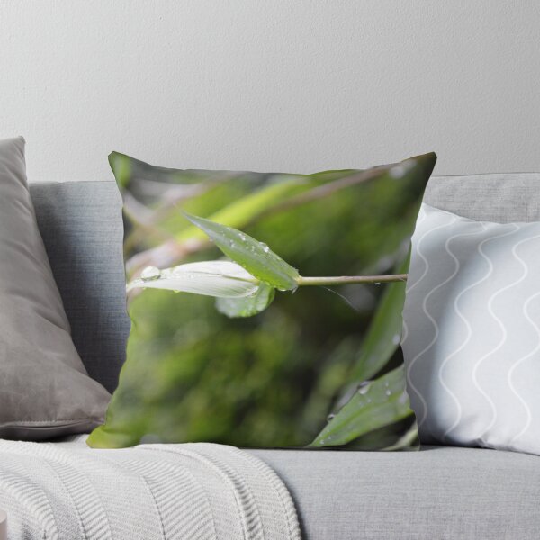 Item preview, lucky bamboo designed and sold by MoniKitz.