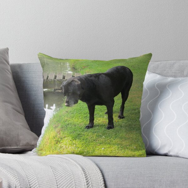 Item preview, my dog jake still fishing designed and sold by margaret hanks.