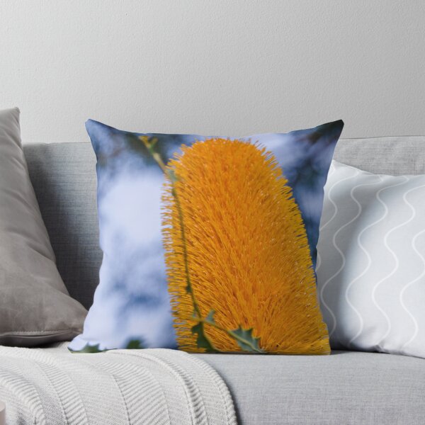 Item preview, Ashby's Banksia (Banksia ashbyi) I designed and sold by Adam Le Good.