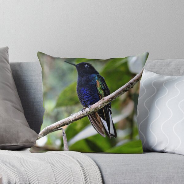 Aperçu de l'œuvre Velvet-Purple Coronet Hummingbird in Mindo créée et vendue par alabca.