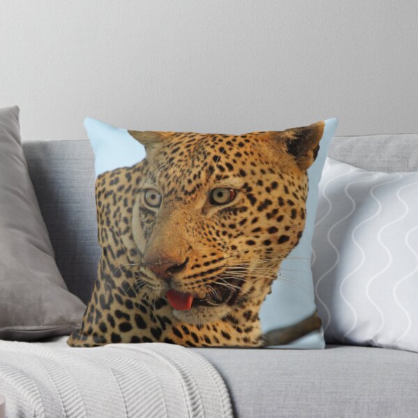 Item preview, Kashane up close and personal! designed and sold by Anthony Goldman.