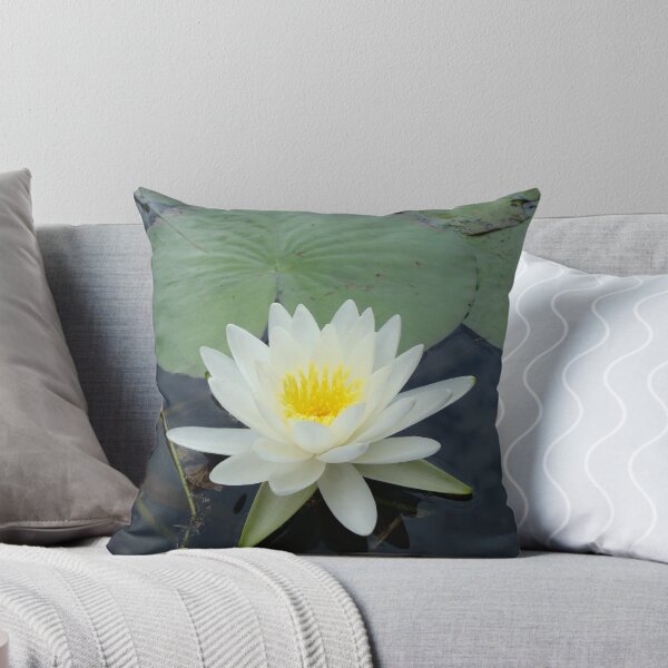 Item preview, WATERLILY - NYMPHAEA ODORATA  designed and sold by May Lattanzio.