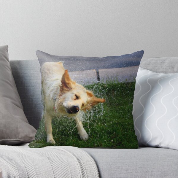Item preview, Shake & Dry designed and sold by Alex Boros.