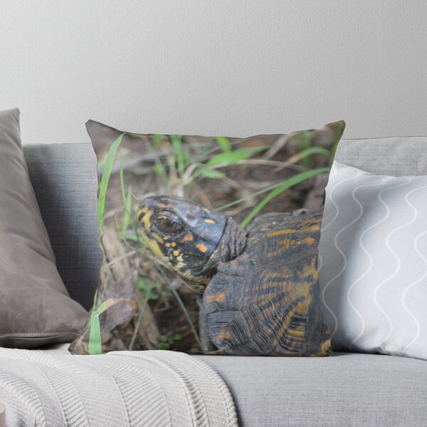Item preview, Eastern Box turtle designed and sold by msegall.