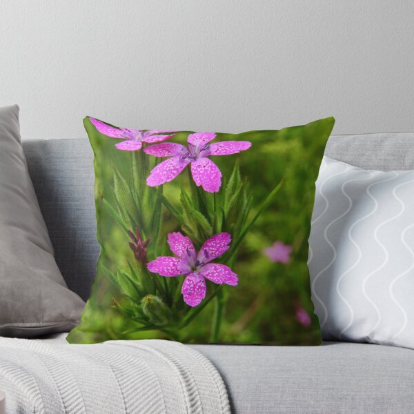 Item preview, Deptford Pink designed and sold by PineSinger.