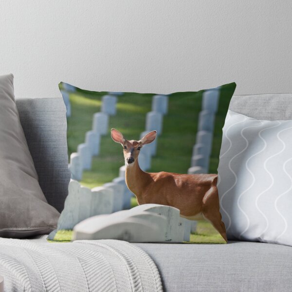 Item preview, A Peaceful Place to Spend the Afternoon designed and sold by barnsis.
