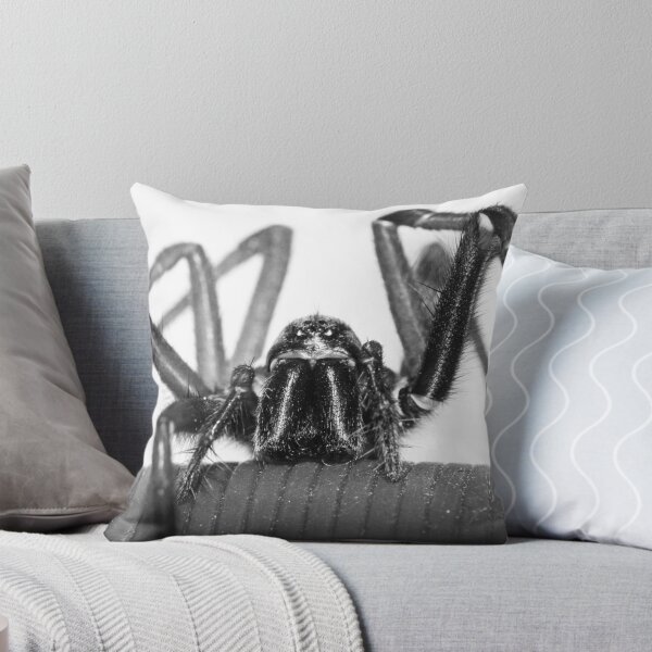 Item preview, SPIDER designed and sold by gymstedhead.