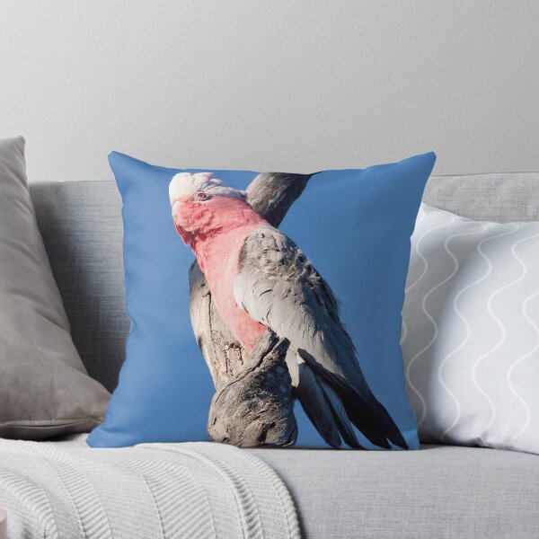 Item preview, Galah in the Wind designed and sold by John Sharp.