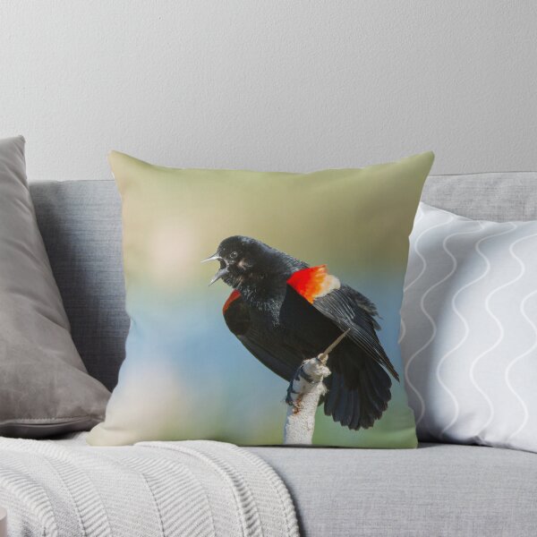 Item preview, Red winged blackbird designed and sold by MIRCEA COSTINA.