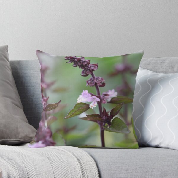 Item preview, Cinnamon Basil designed and sold by decorartuk.