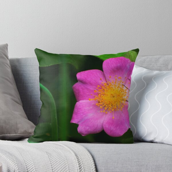 Item preview, A Visitor for a Wild Rose designed and sold by barnsis.