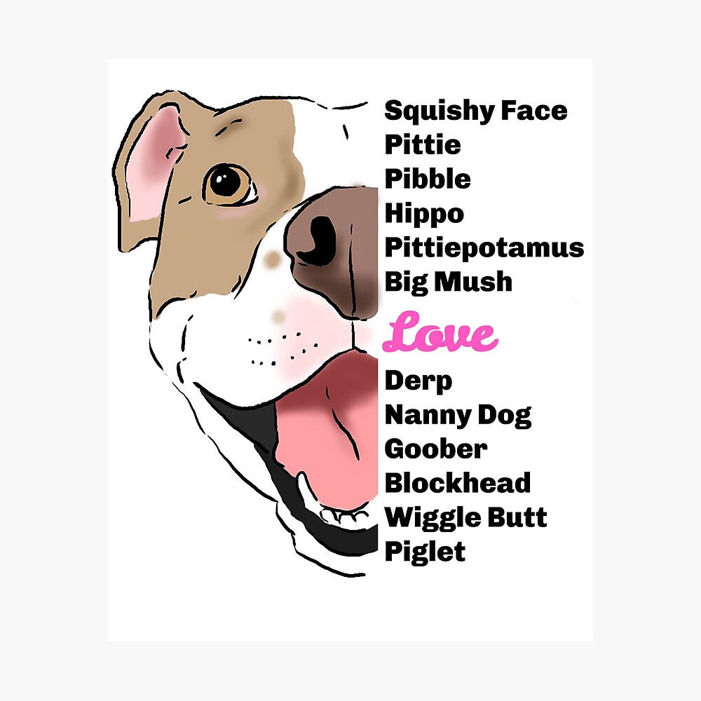 Pitbull Nicknames Pitbull Nicknames