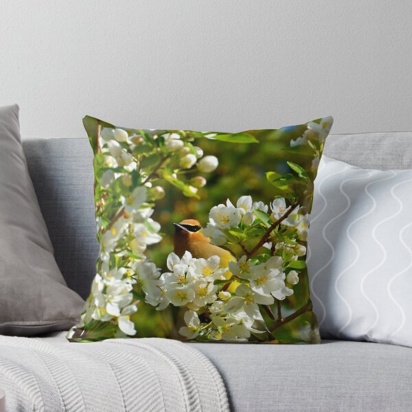 Item preview, Cedar Waxwing enjoying the Spring Blossoms designed and sold by dmacneil.