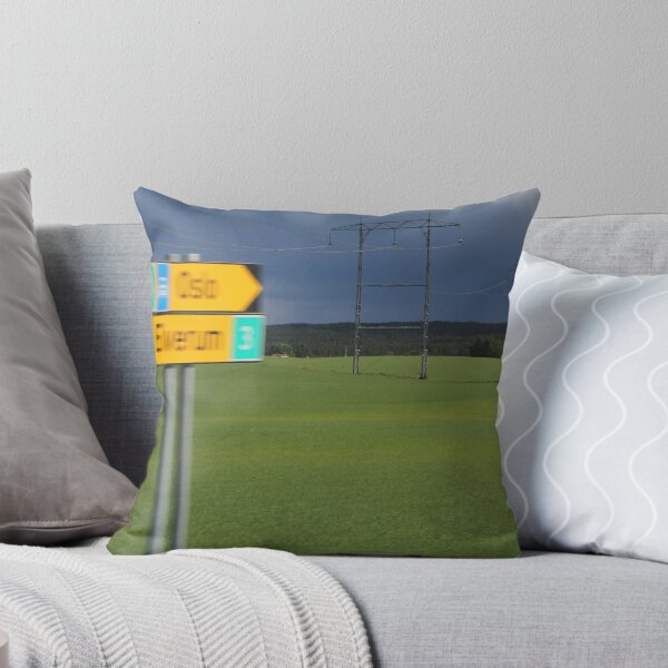 Item preview, Between Elverum and Oslo, Norway. Photo taken from the bus. designed and sold by UpNorthPhoto.