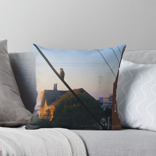 Item preview, San Francisco Morning designed and sold by David Denny.