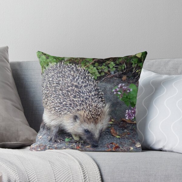 Item preview, My Hedgehog Neighbor designed and sold by HELUA.
