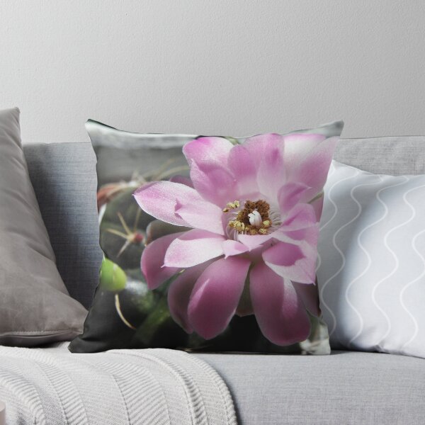 Item preview, Take a Guess Cactus Flower designed and sold by Linda Gleisser.