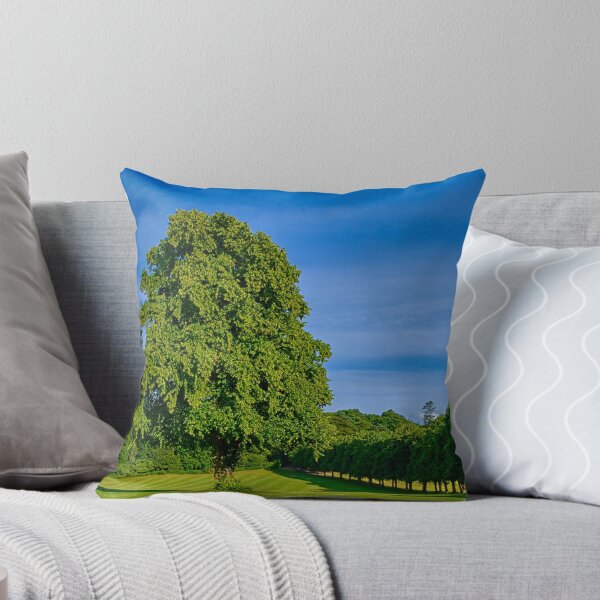 Item preview, FORRES GRANT PARK IN JULY designed and sold by JASPERIMAGE.