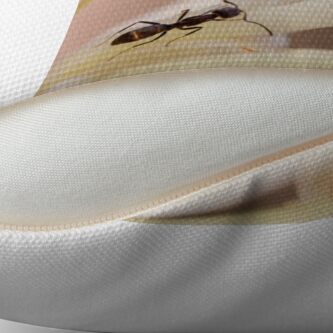 Alternate view of Ants love nectar too Throw Pillow